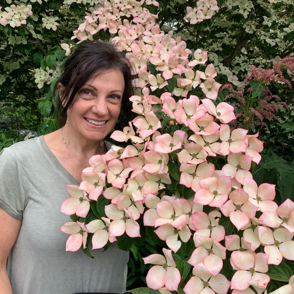 Meet your Posher, Josephine